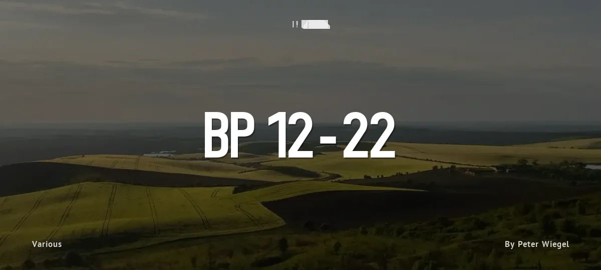 BP 12-22 font preview