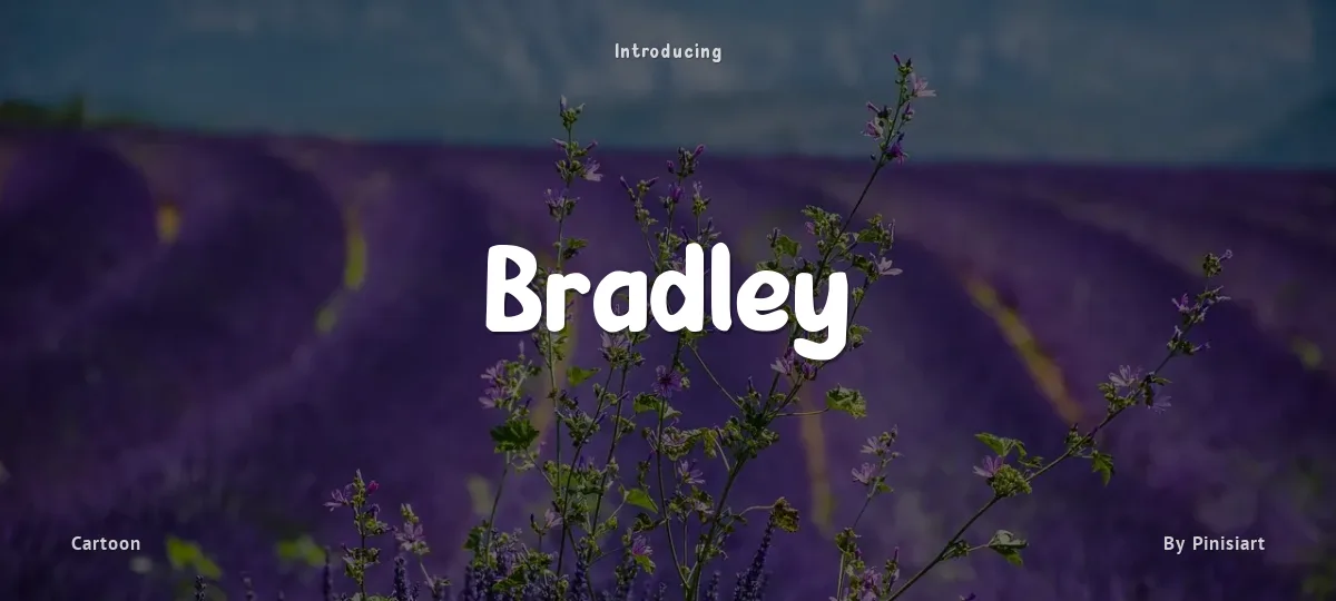 Bradley font preview