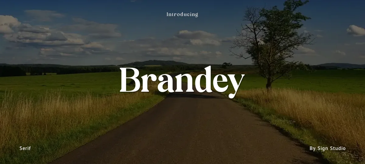 Brandey font preview