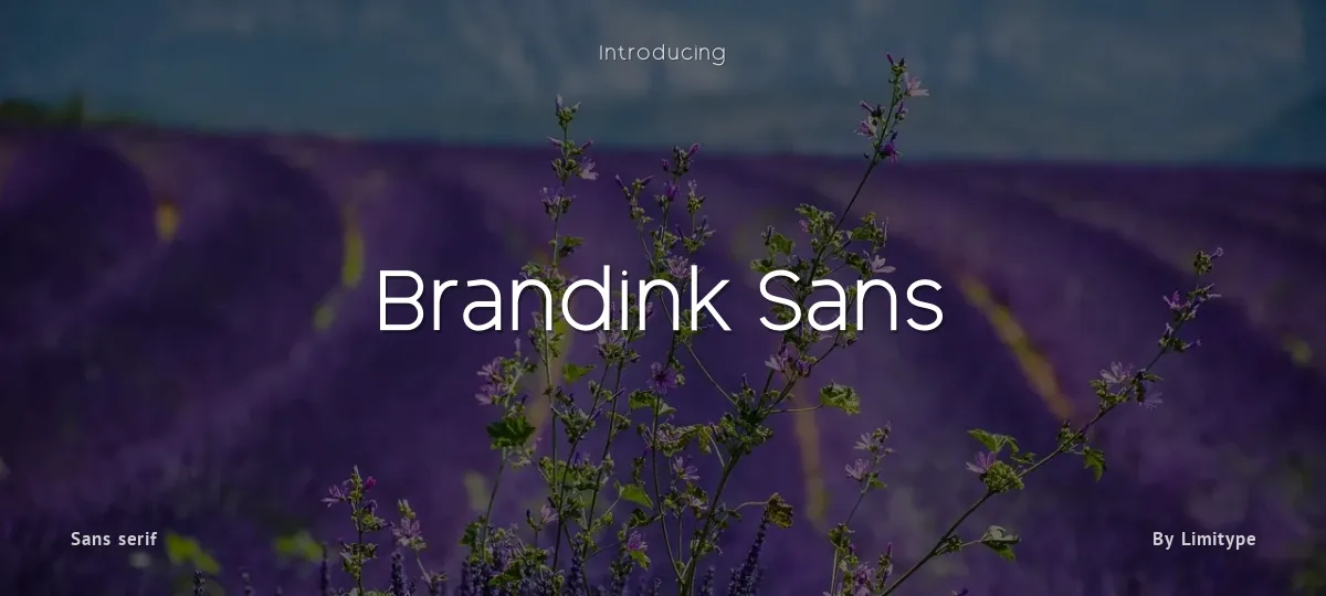 Brandink Sans font preview