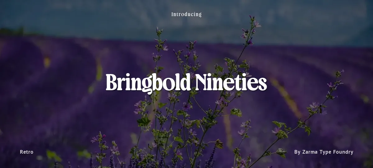 Bringbold Nineties font preview