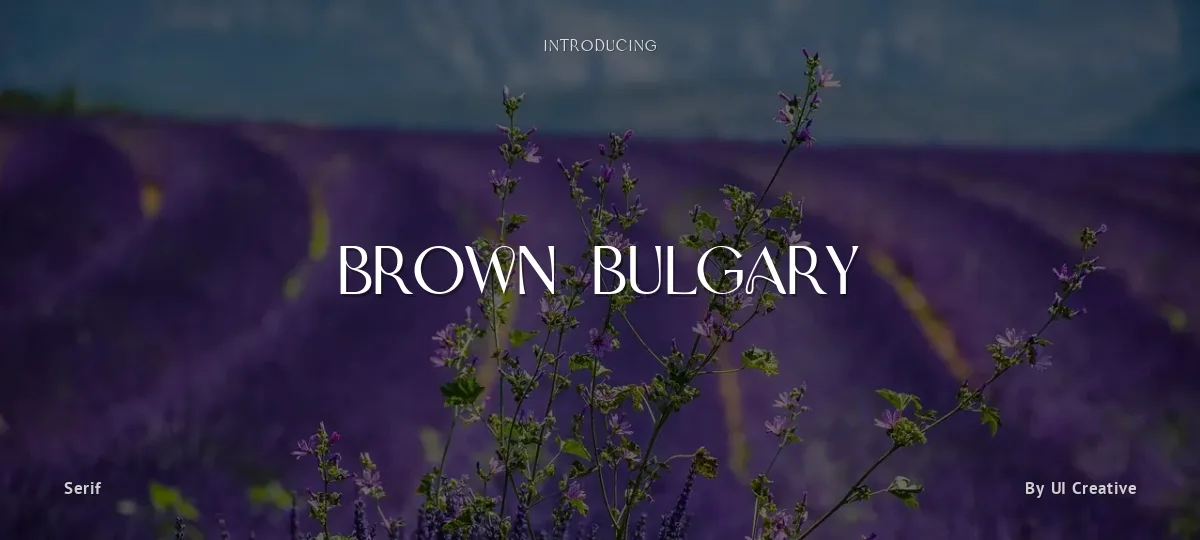 Brown Bulgary font preview