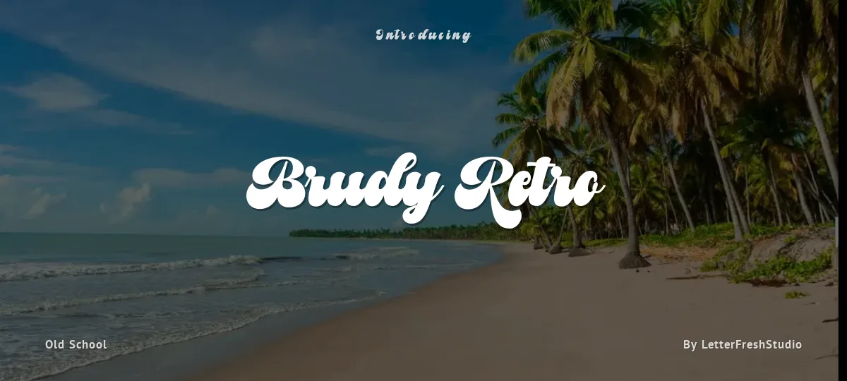 Brudy Retro font preview