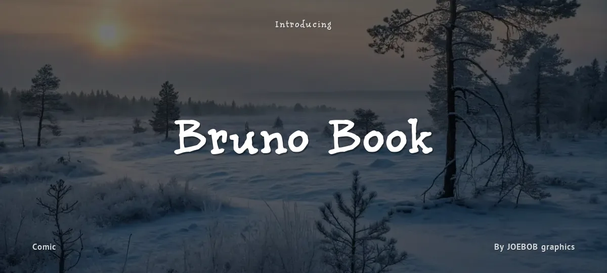 Bruno Book font preview