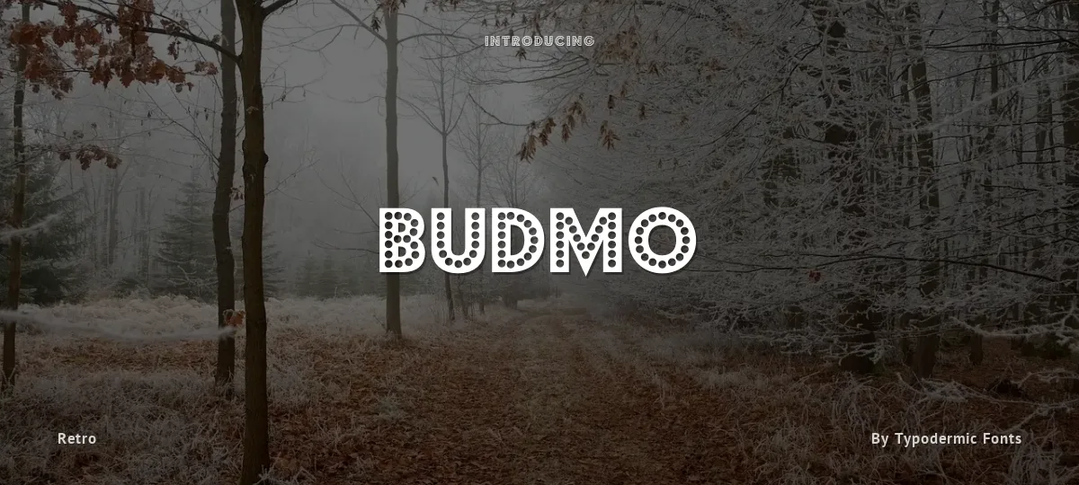 Budmo font preview