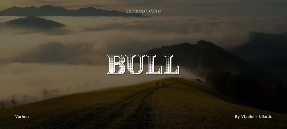Bull font preview