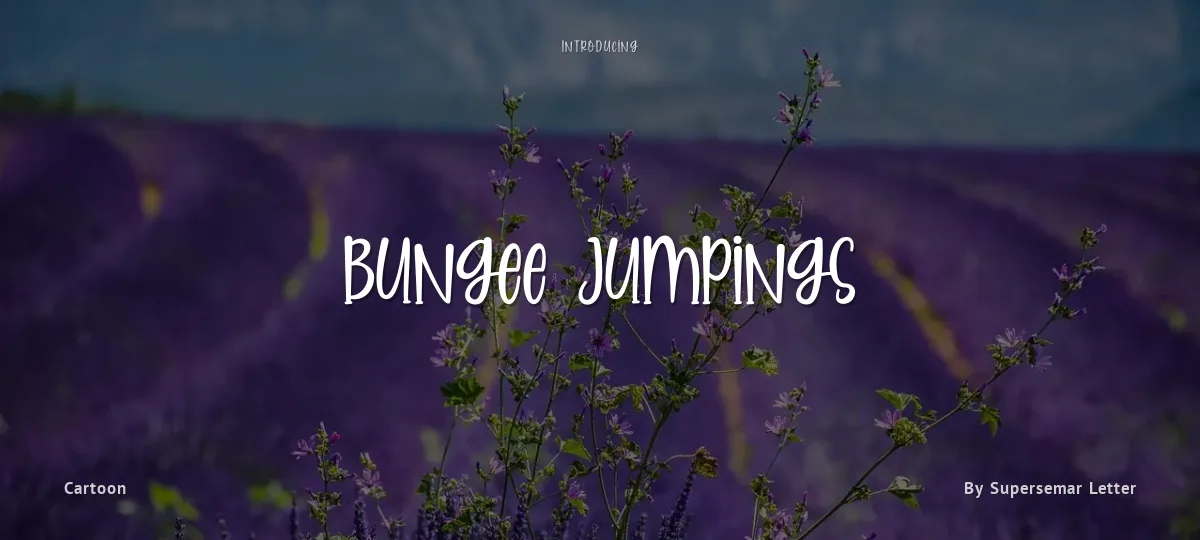 Bungee Jumpings font preview