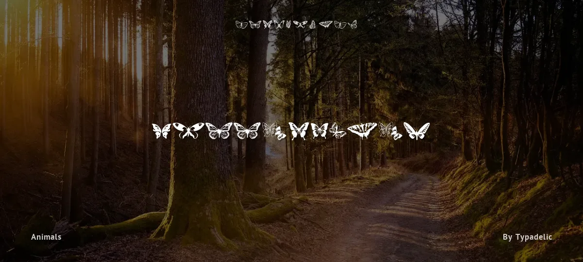 Butterflies font preview