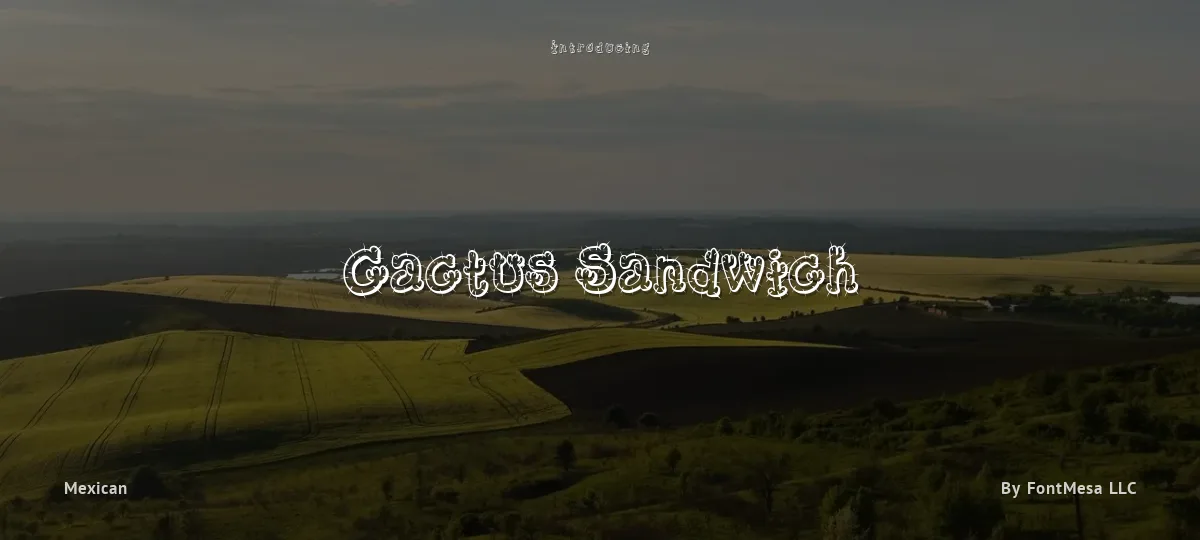 Cactus Sandwich font preview