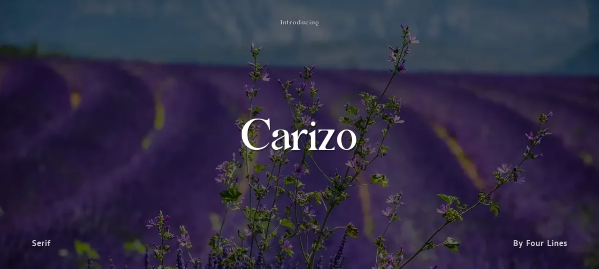 Carizo font preview