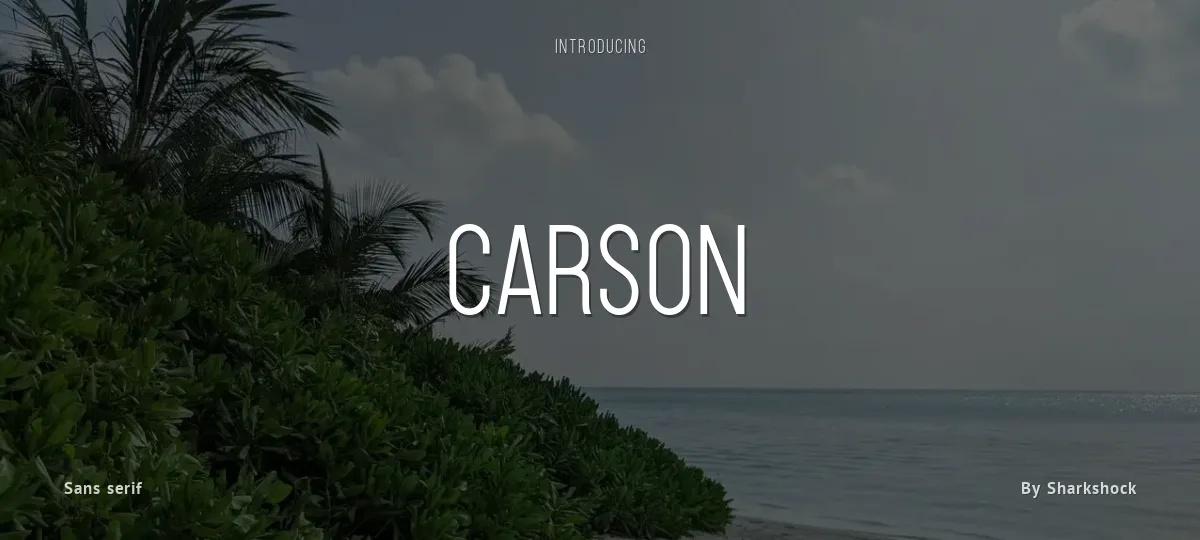 Carson font preview