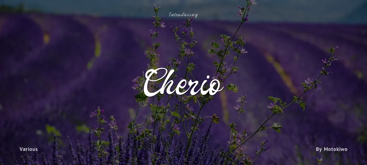 Cherio font preview