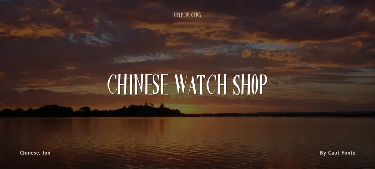 Chinese Watch Shop font preview