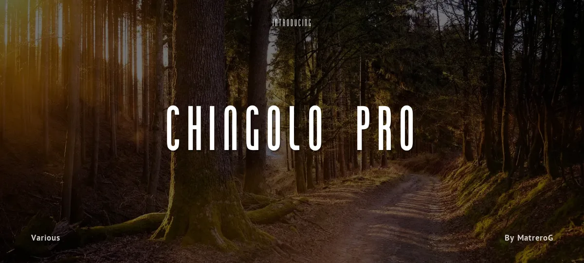 Chingolo Pro font preview