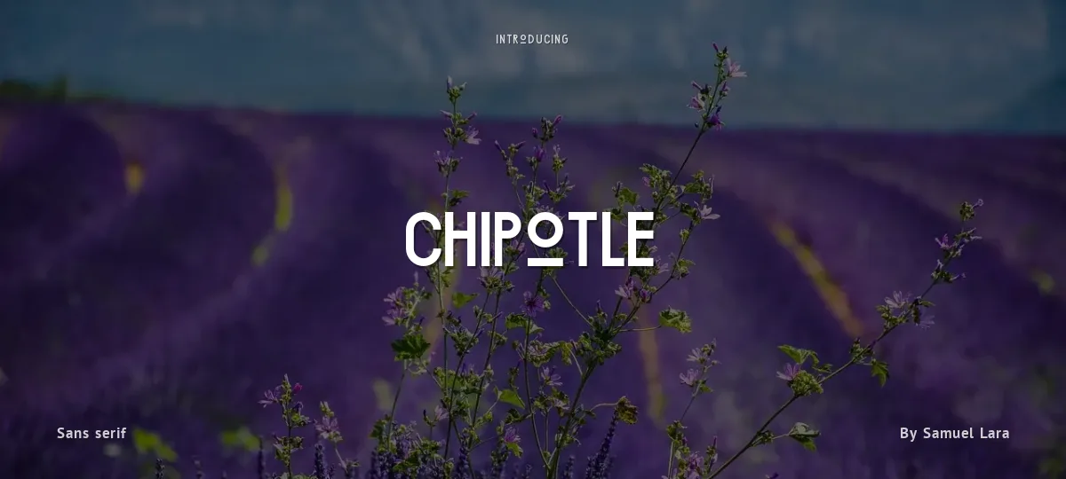 Chipotle font preview