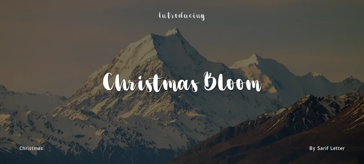Christmas Bloom font preview