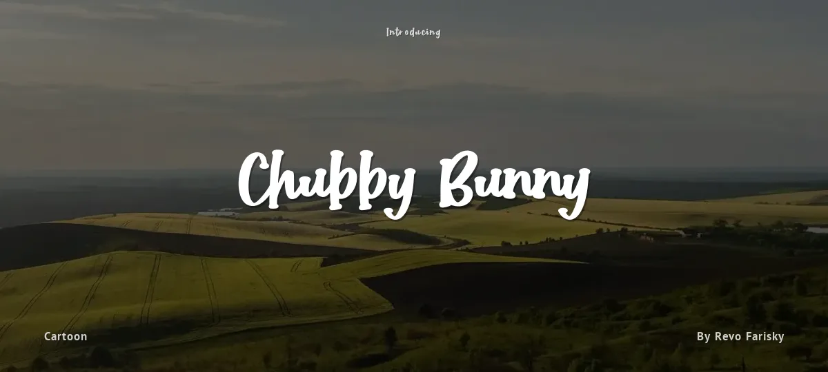 Chubby Bunny font preview