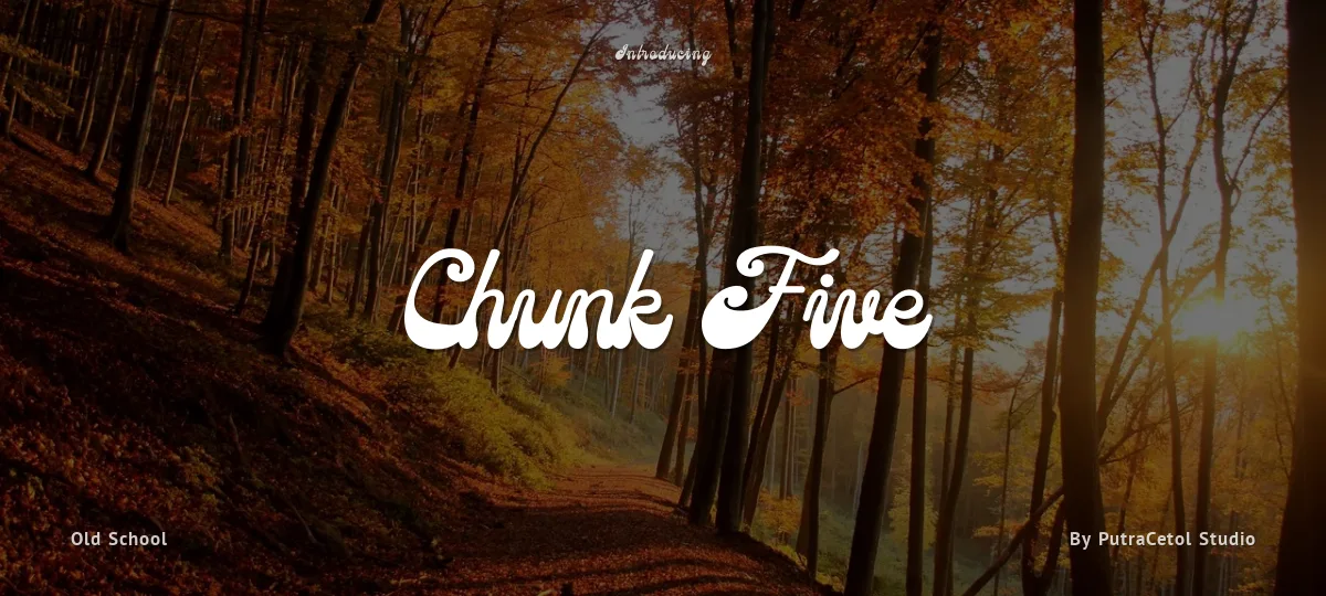 Chunk Five font preview