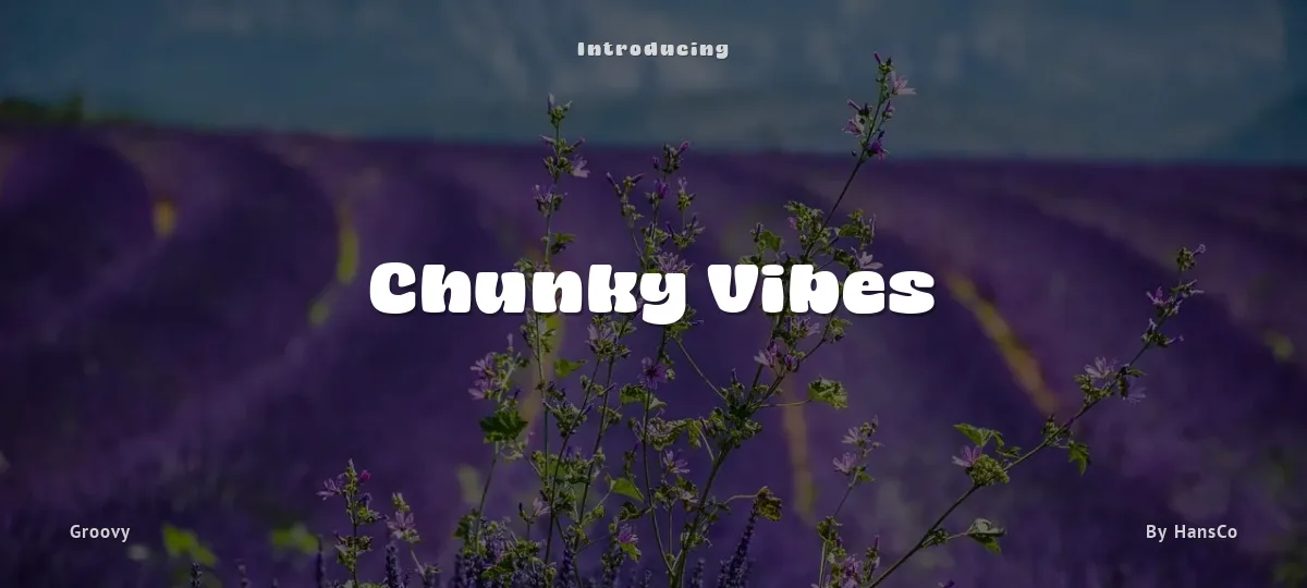 Chunky Vibes font preview