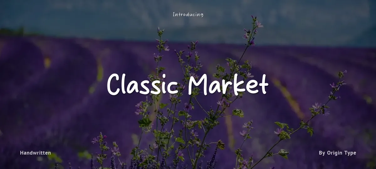Classic Market font preview