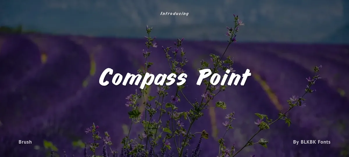 Compass Point font preview