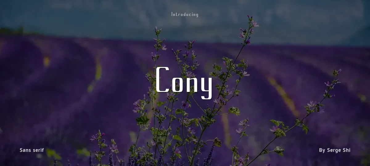 Cony font preview