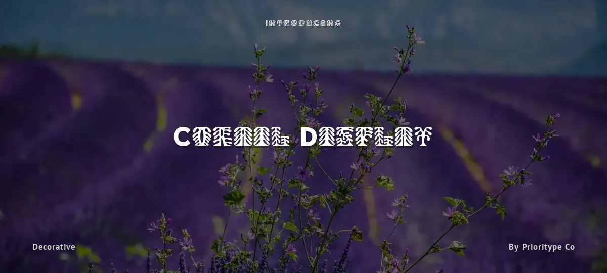 Corail Display font preview