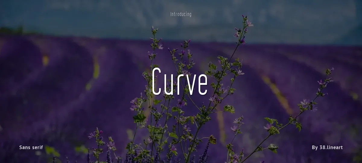 Curve font preview