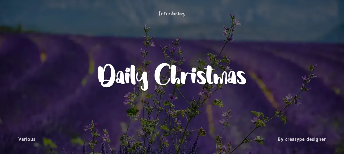 Daily Christmas font preview