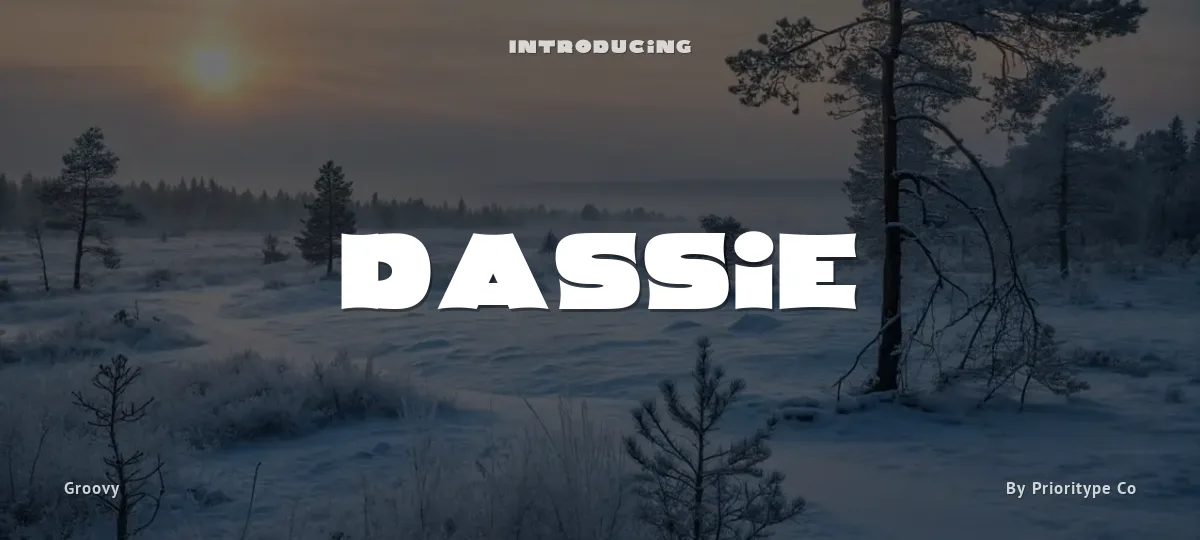 Dassie font preview