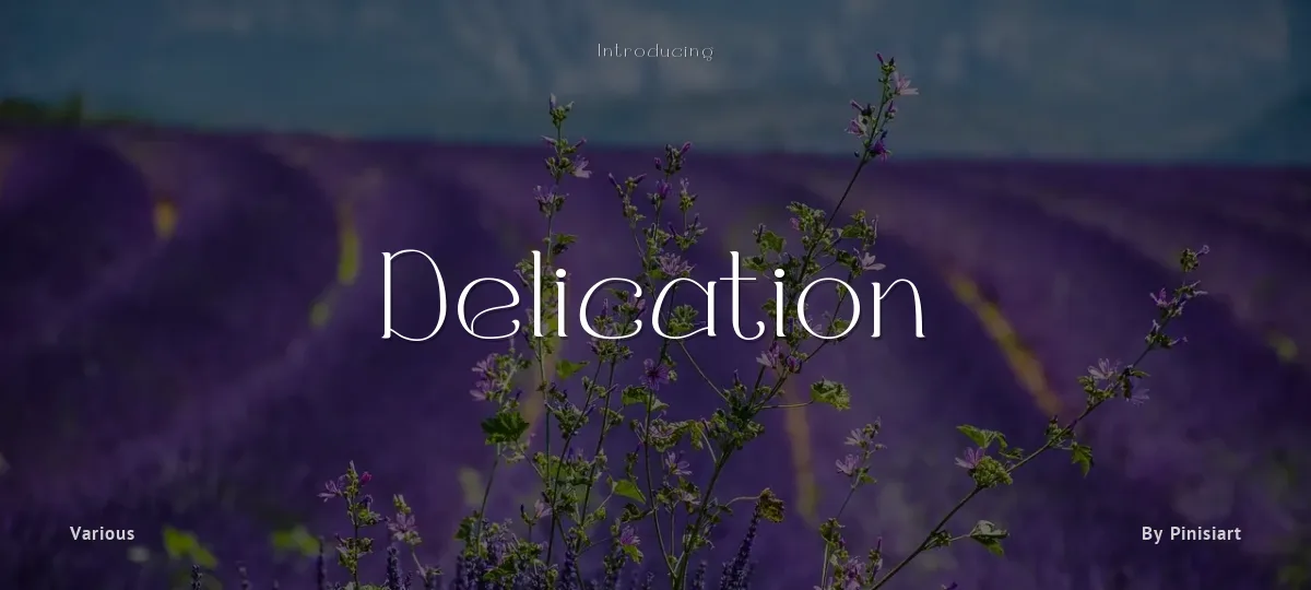 Delication font preview