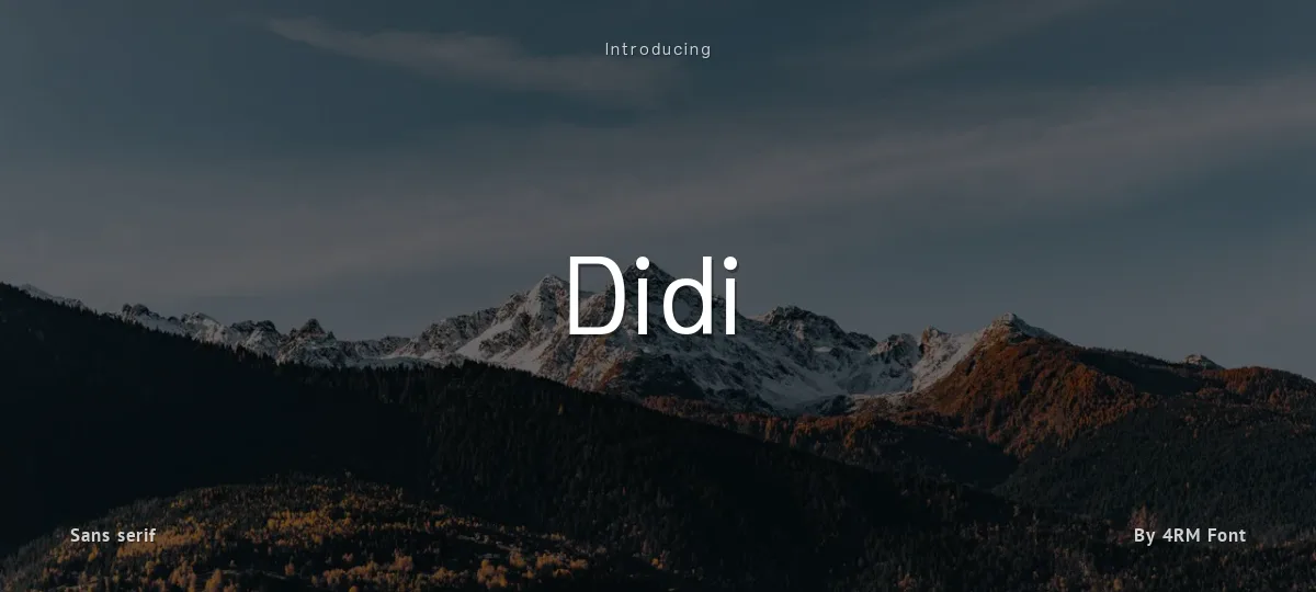 Didi font preview