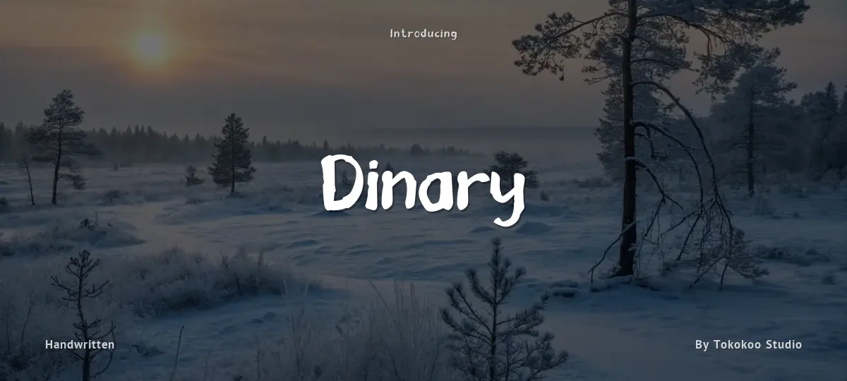 Dinary font preview