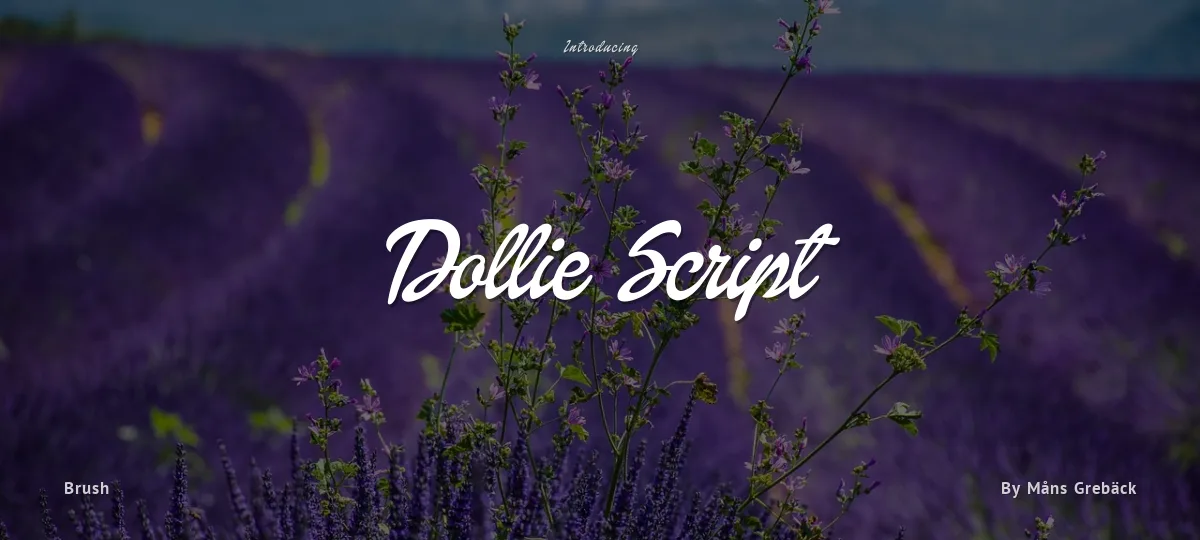 Dollie Script font preview