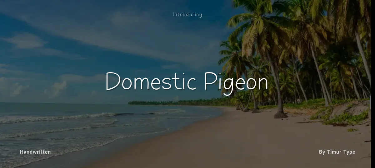 Domestic Pigeon font preview
