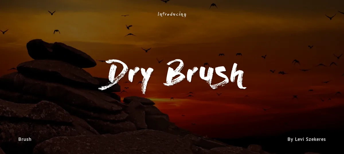 Dry Brush font preview