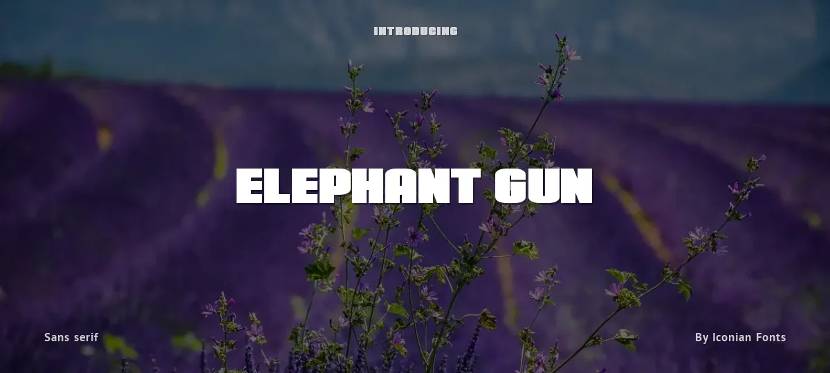 Elephant Gun font preview