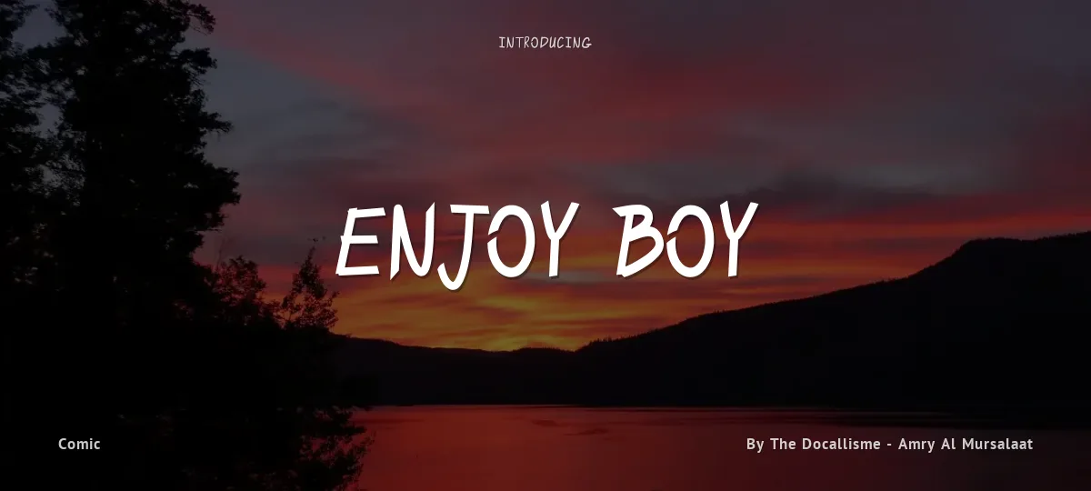 Enjoy Boy font preview