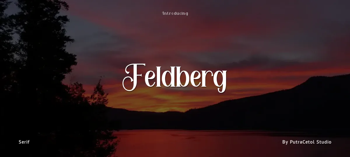 Feldberg font preview