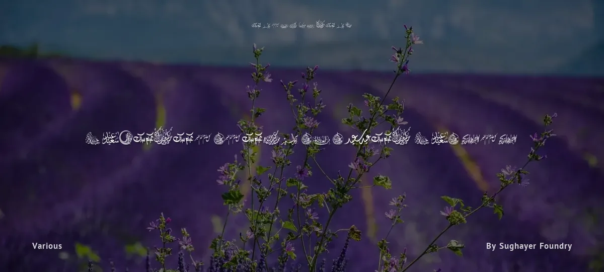 Felicitation Arabic Feasts font preview