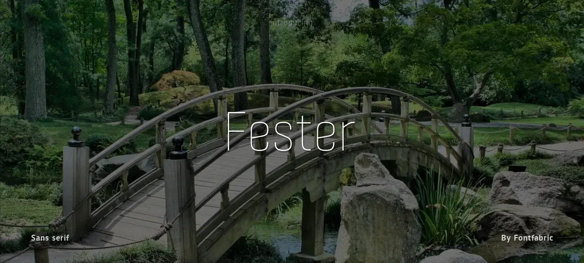 Fester font preview