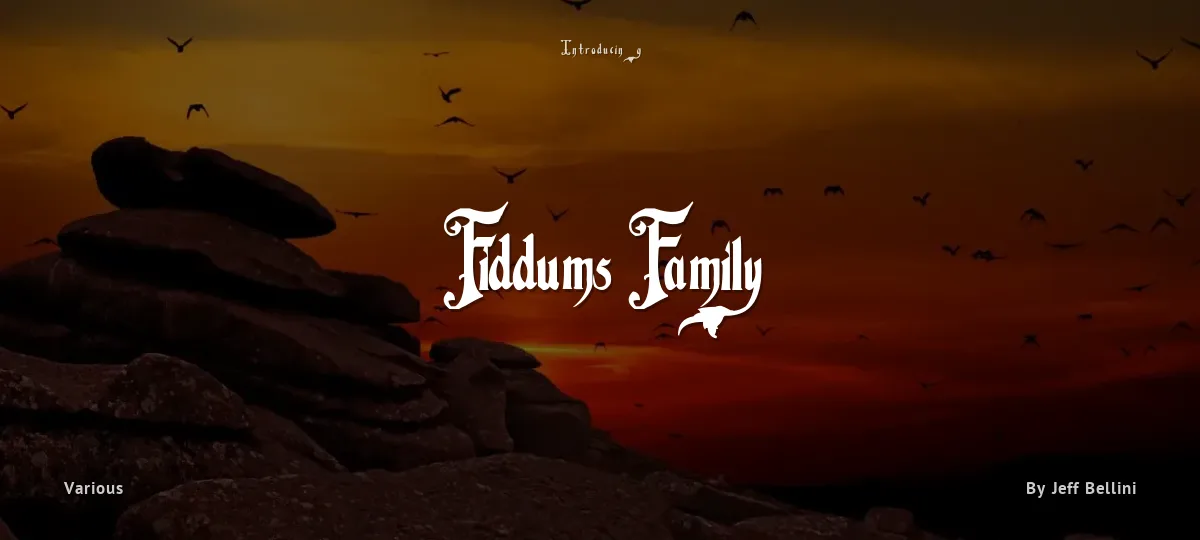 Fiddums Family font preview