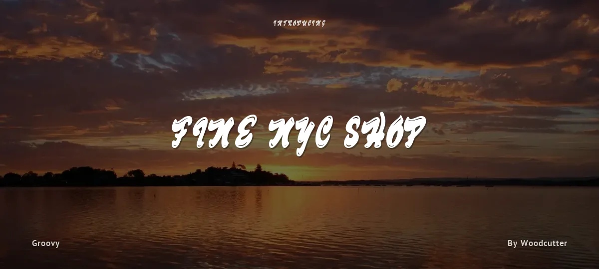 Fine NYC Shop font preview