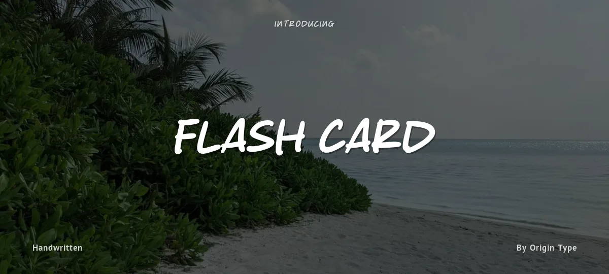 Flash Card font preview