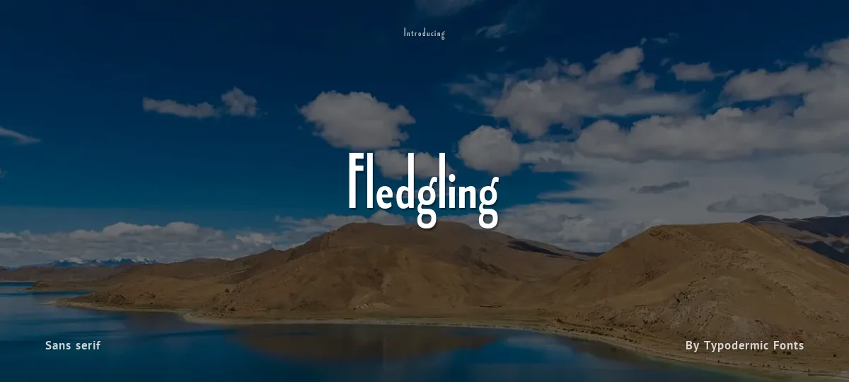 Fledgling font preview