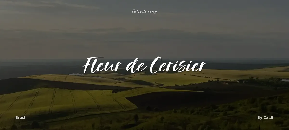 Fleur de Cerisier font preview