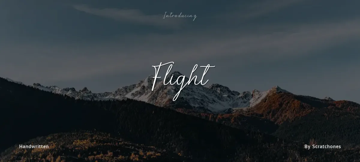 Flight font preview