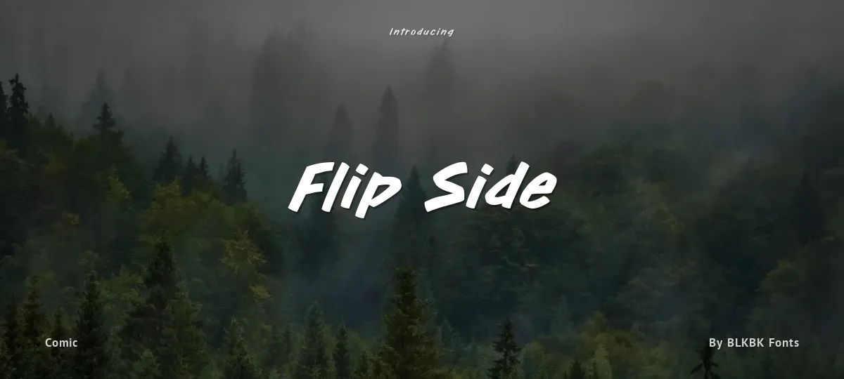 Flip Side font preview