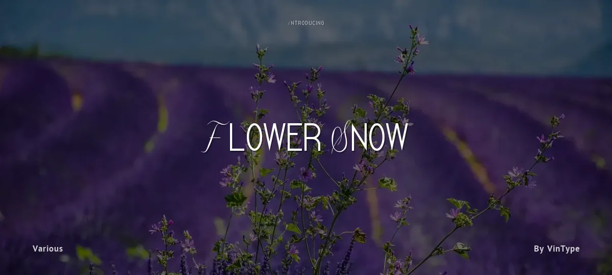 Flower Snow font preview