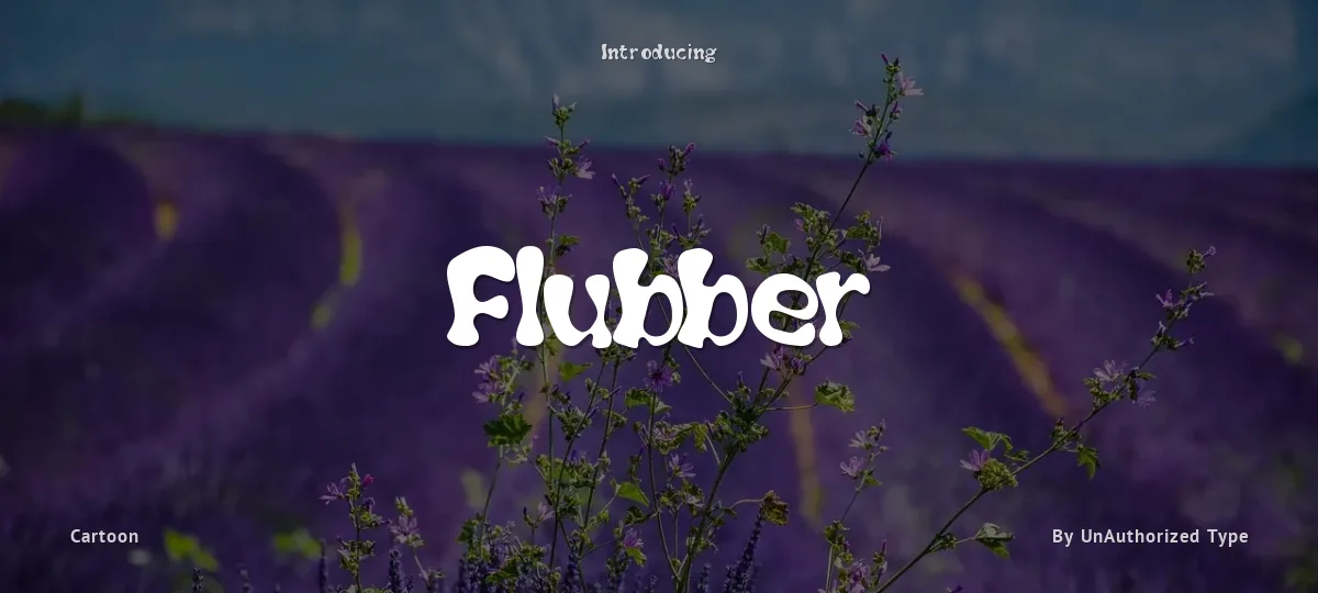 Flubber font preview